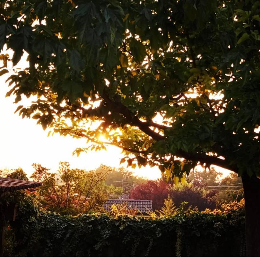 Anticacascina Bed & Breakfast Quarto  ภายนอก รูปภาพ